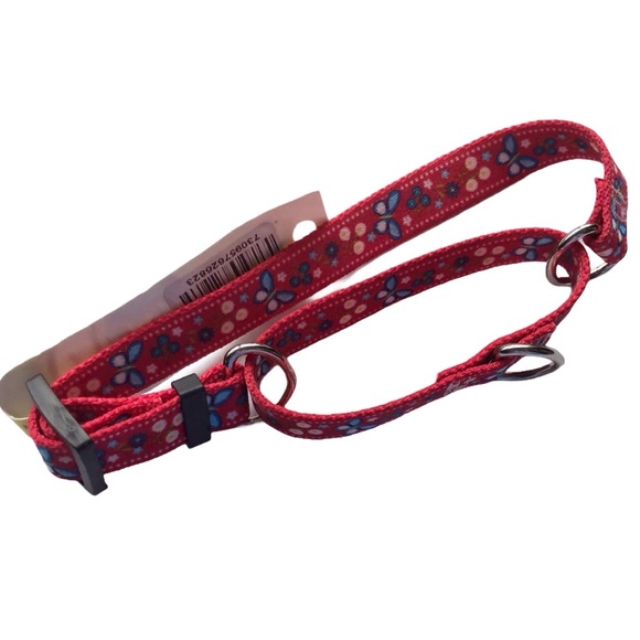 NEW Martingale Dog Collar Small 14” Festive Butterfly RED Yellow Dog design - Picture 7 of 7